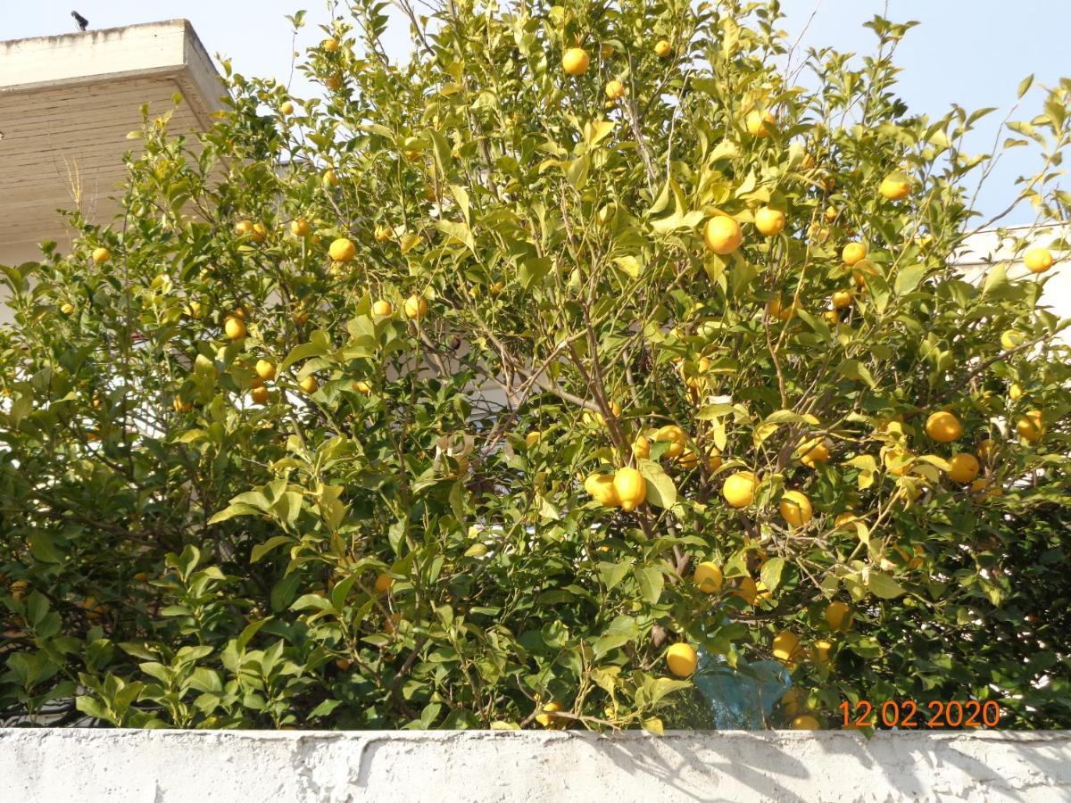 Traditional Guesthouse Asimakis Anifion المظهر الخارجي الصورة