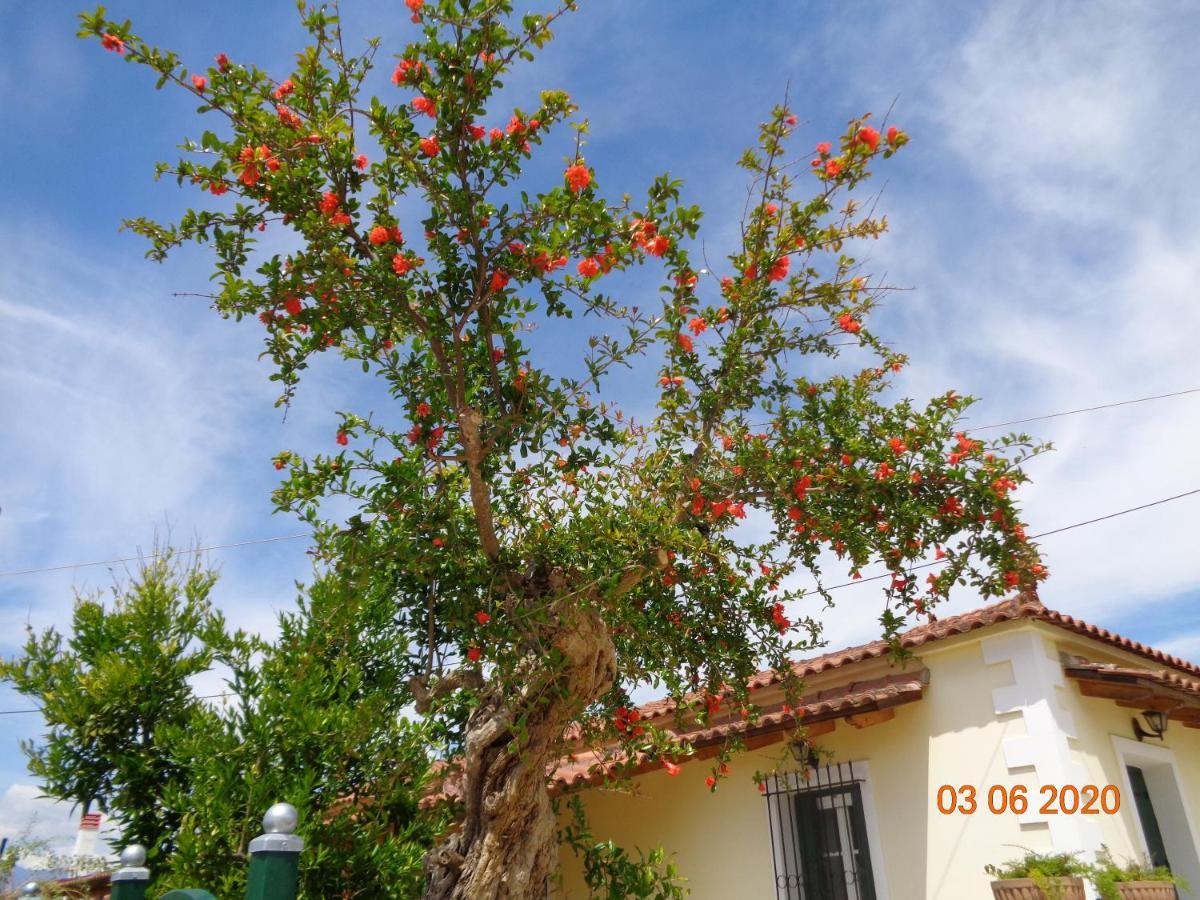 Traditional Guesthouse Asimakis Anifion المظهر الخارجي الصورة